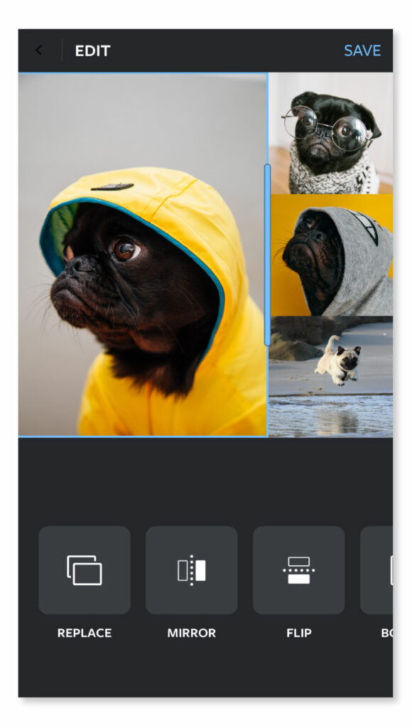 Using the "Layout” App