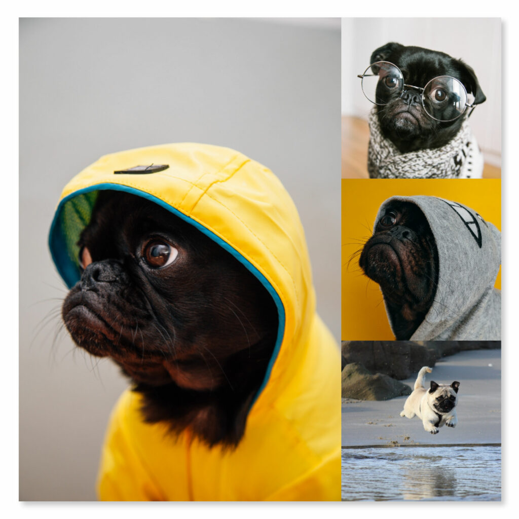 Using the "Layout” App