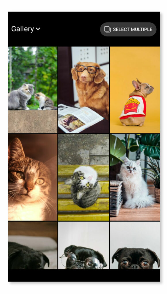 Using the “Upload Multiple” Feature