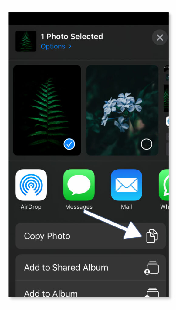 Using the “Copy + Paste” Method