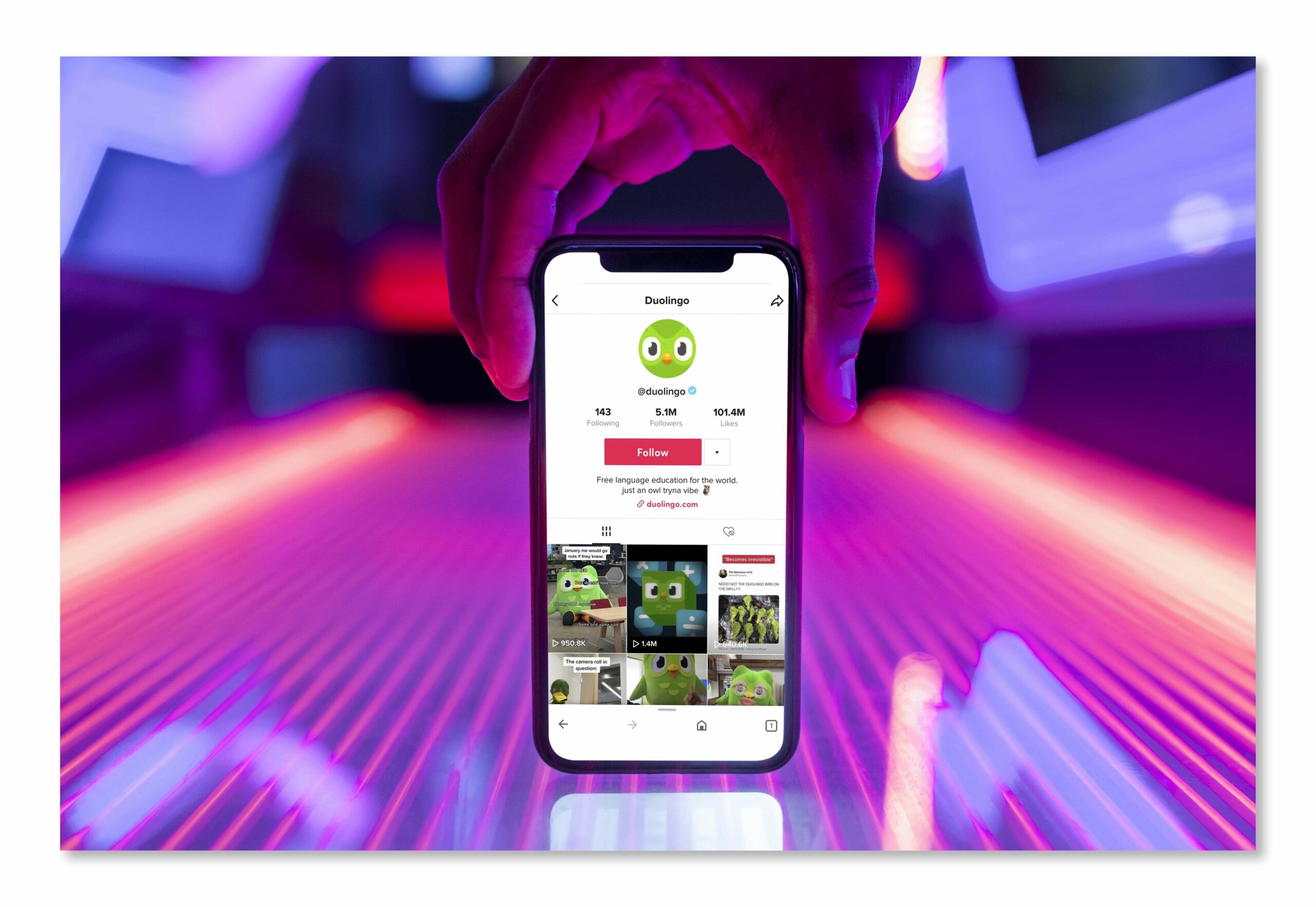Duolingo TikTok profile