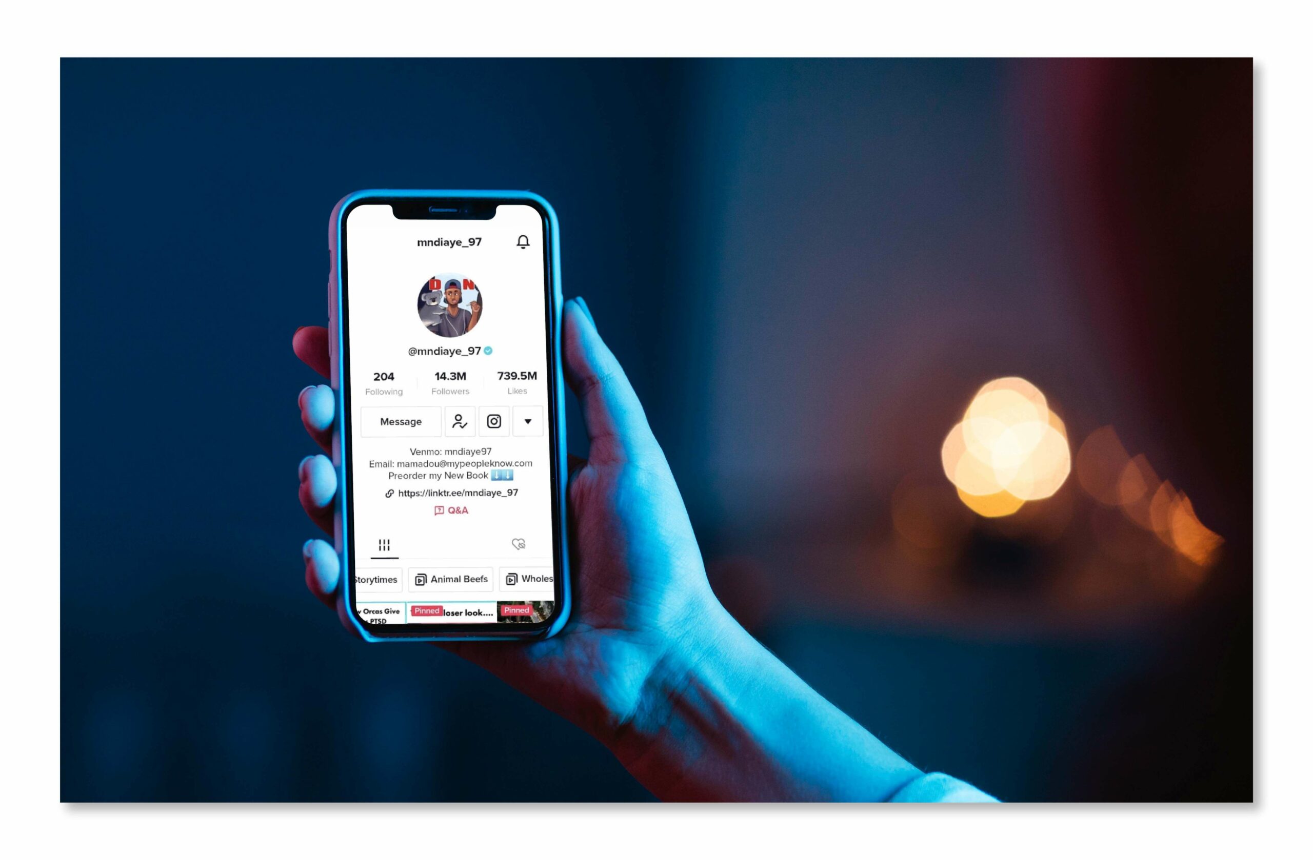 Optimized TikTok Profile