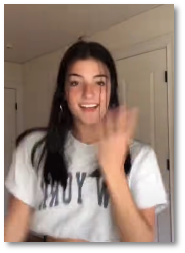 Charli D'Amelio - "Renegade"