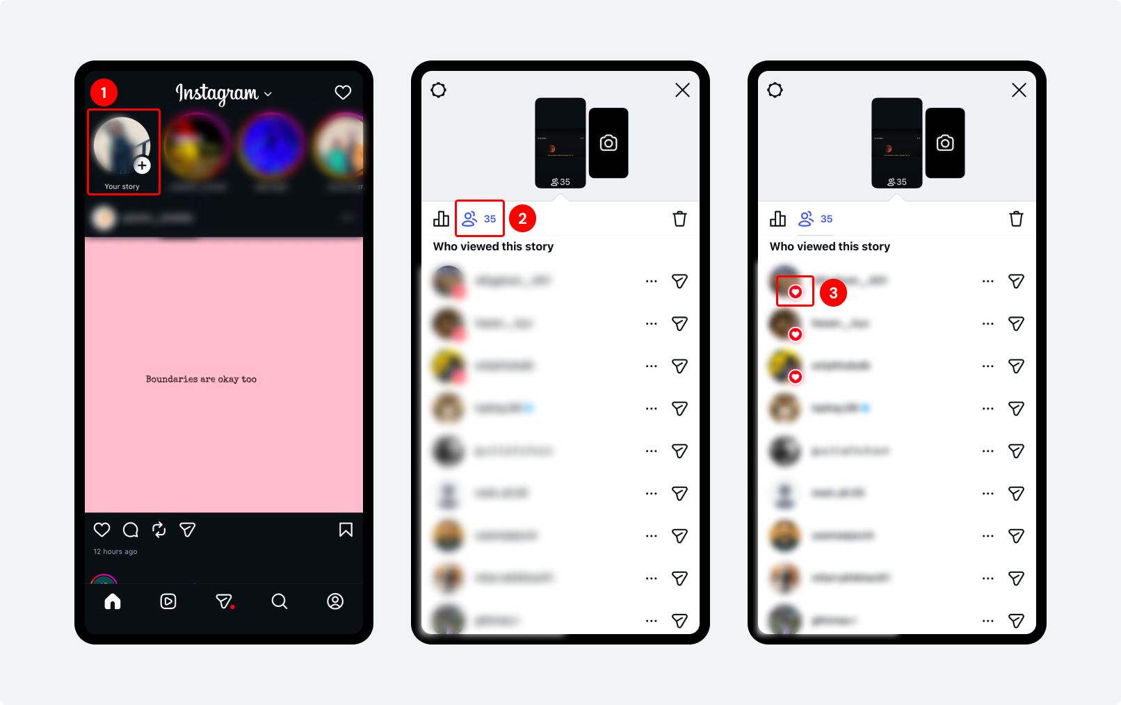 Step by step image to check your Story Viewers List