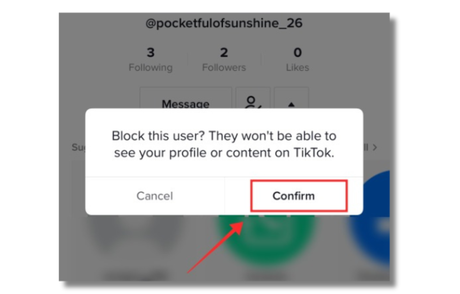 Block TikTok fake followers