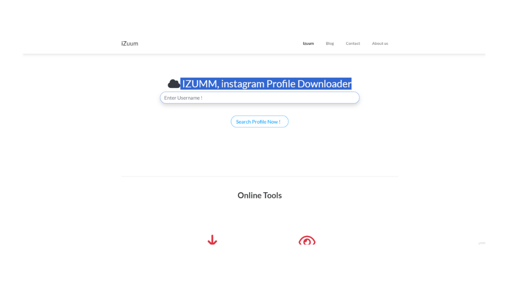 Izuum web page