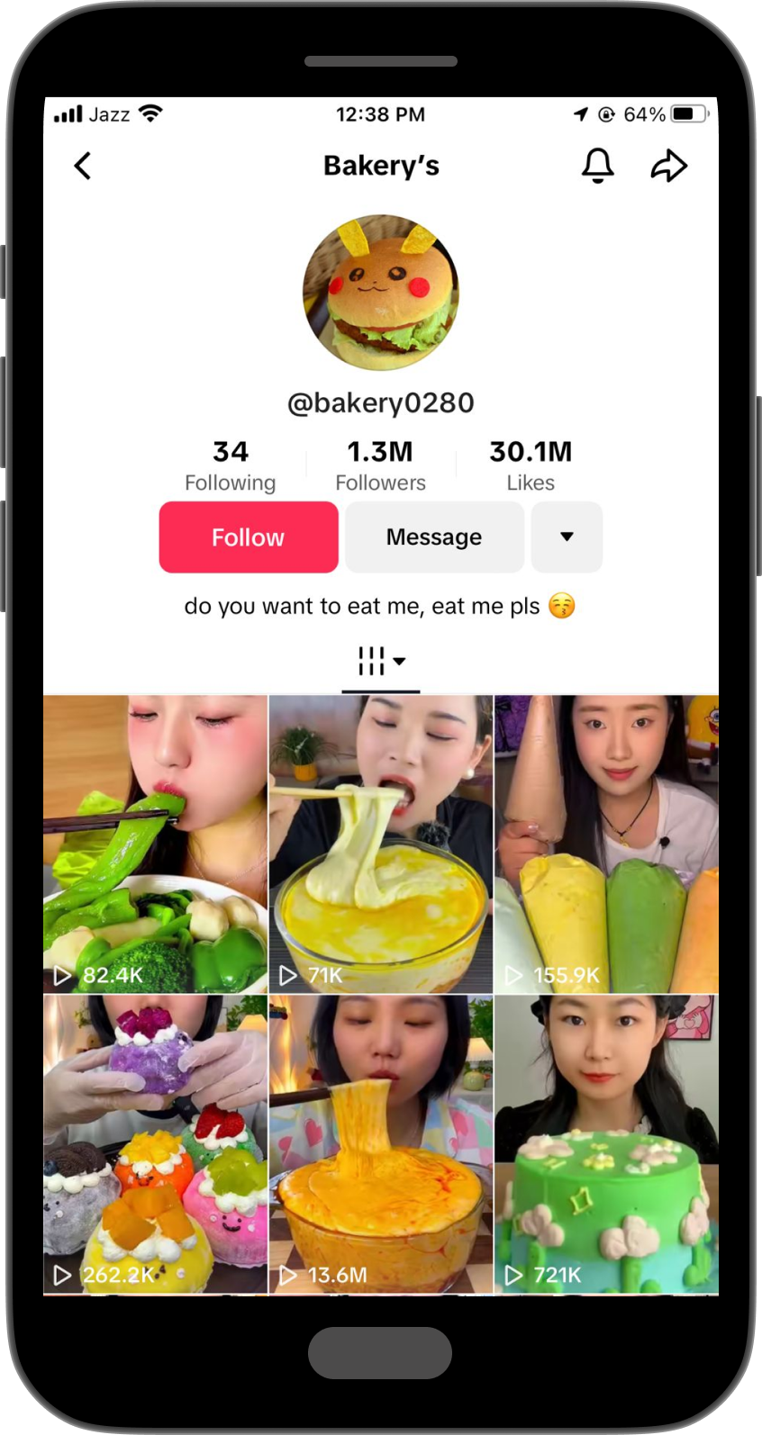 Funny TikTok Bio Ideas