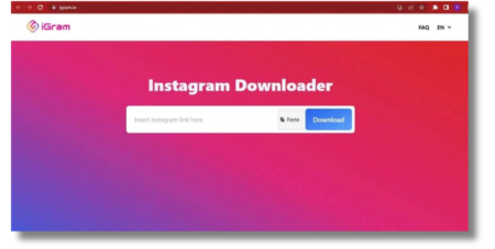Instagram Reels downloader