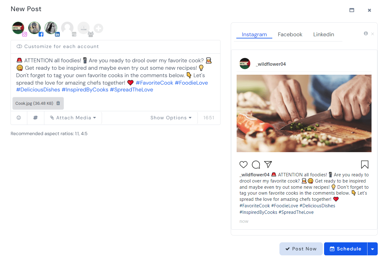 Preview social media posts with SocialBu