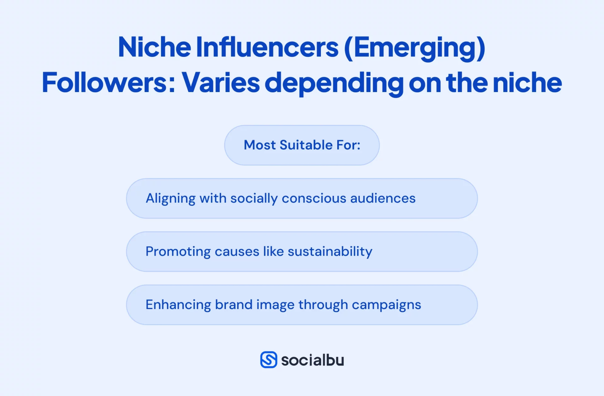 Who are Niche Influencers (Emerging)