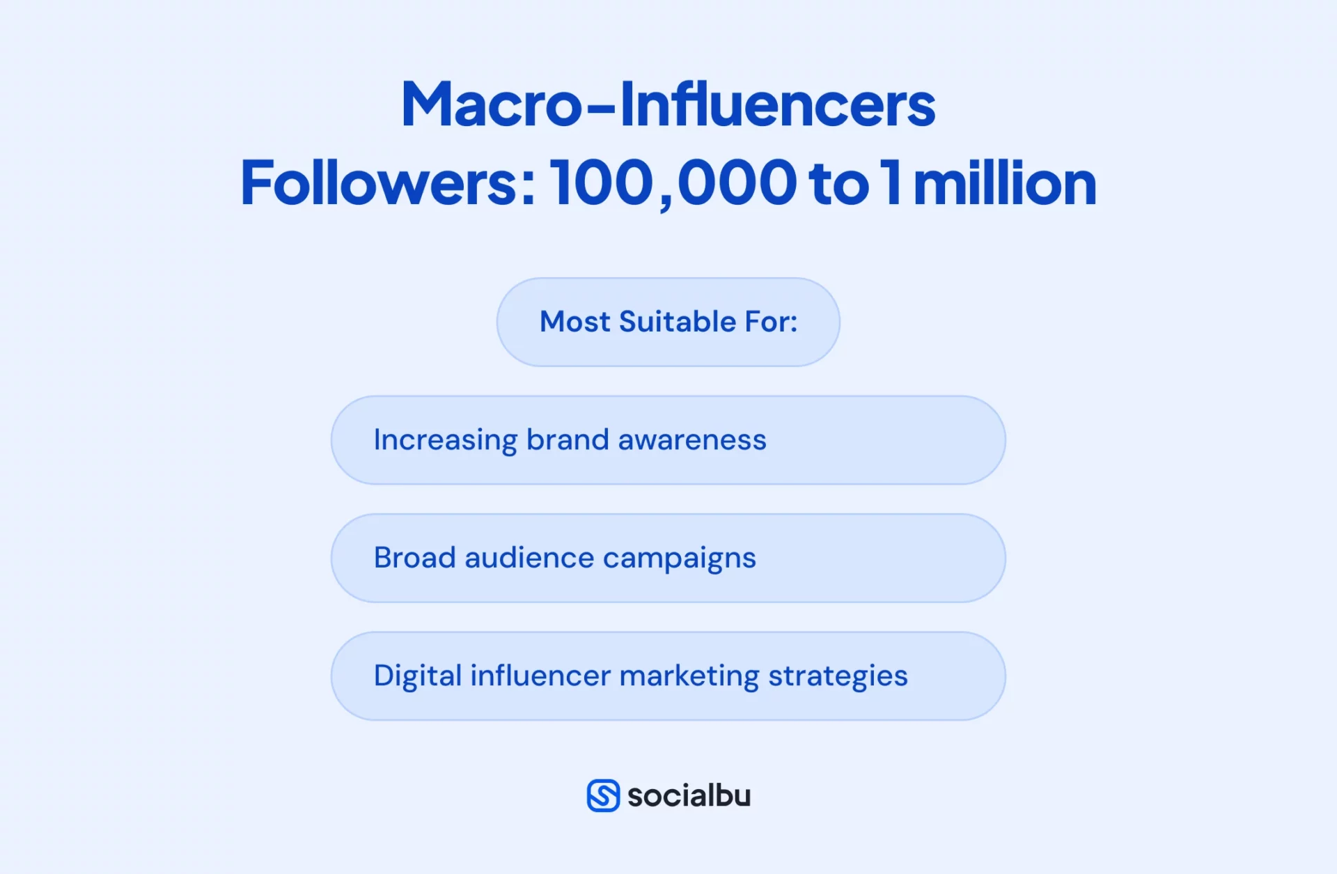 Who are Macro-Influencers