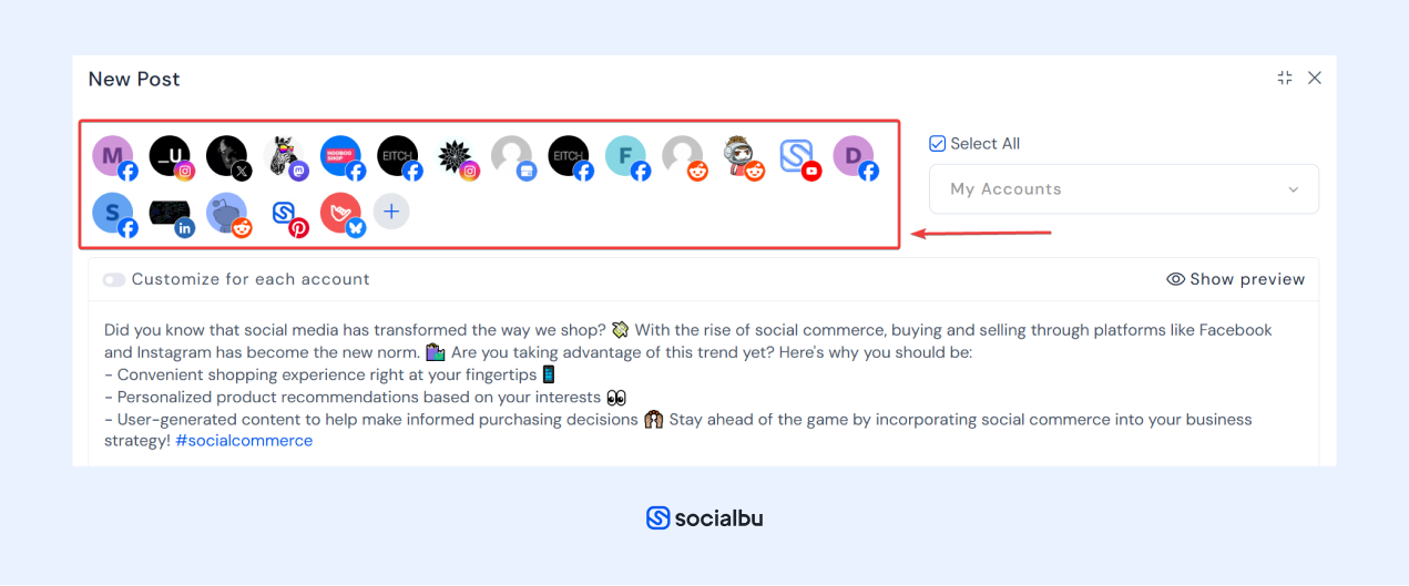 Multi-platform integration with SocialBu