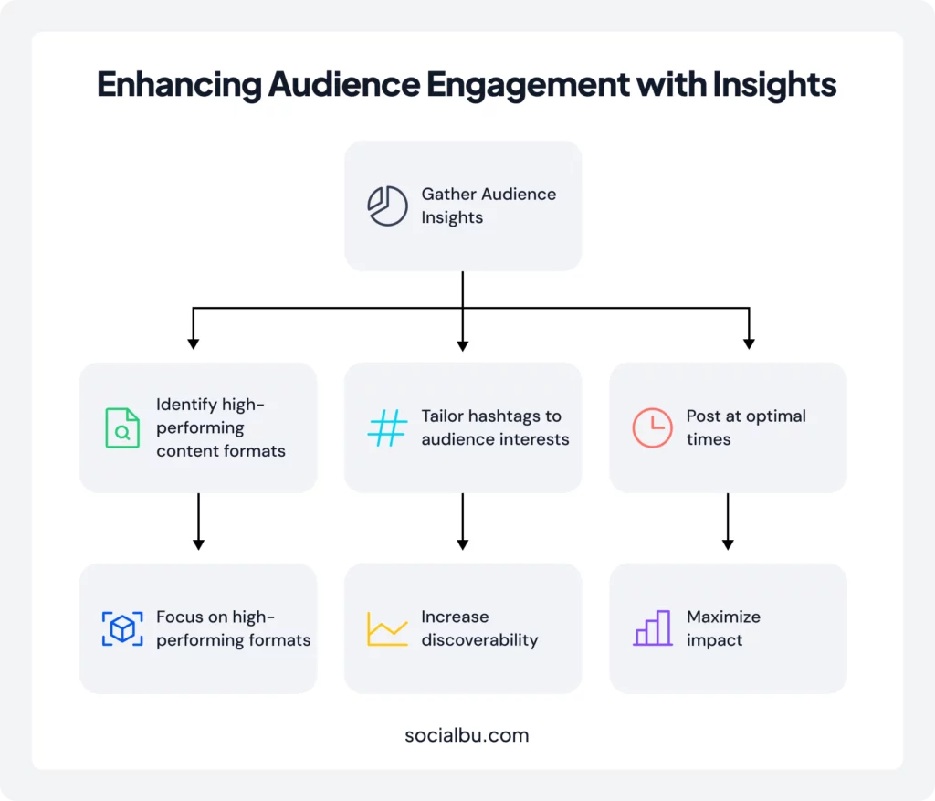 audience insights 