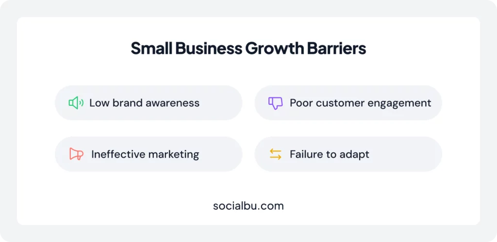 Top Reasons Why Your Small Business Isn’t Growing