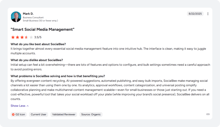 SocialBee User Review