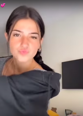 Exploring the Top 11 Most Liked TikTok Videos of All Time