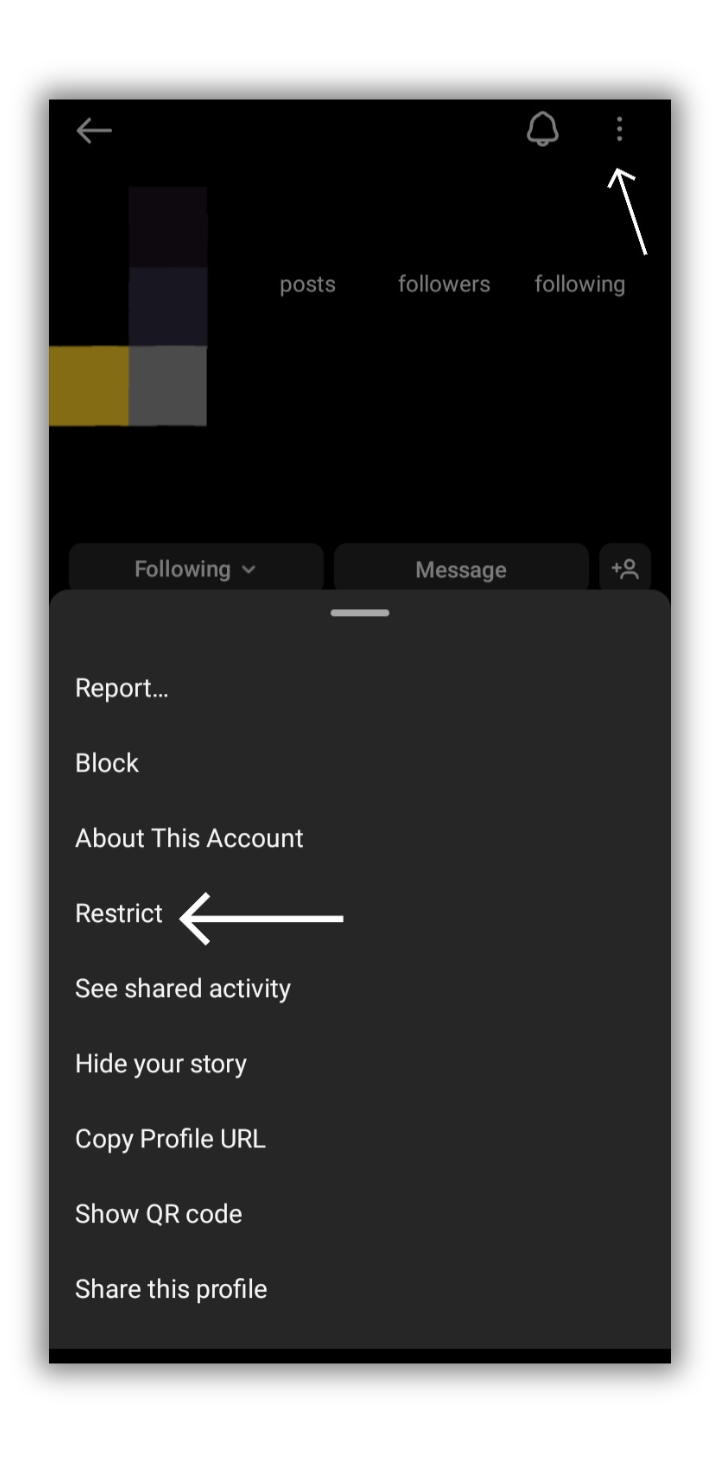 Restrict on Instagram Through User's Profile