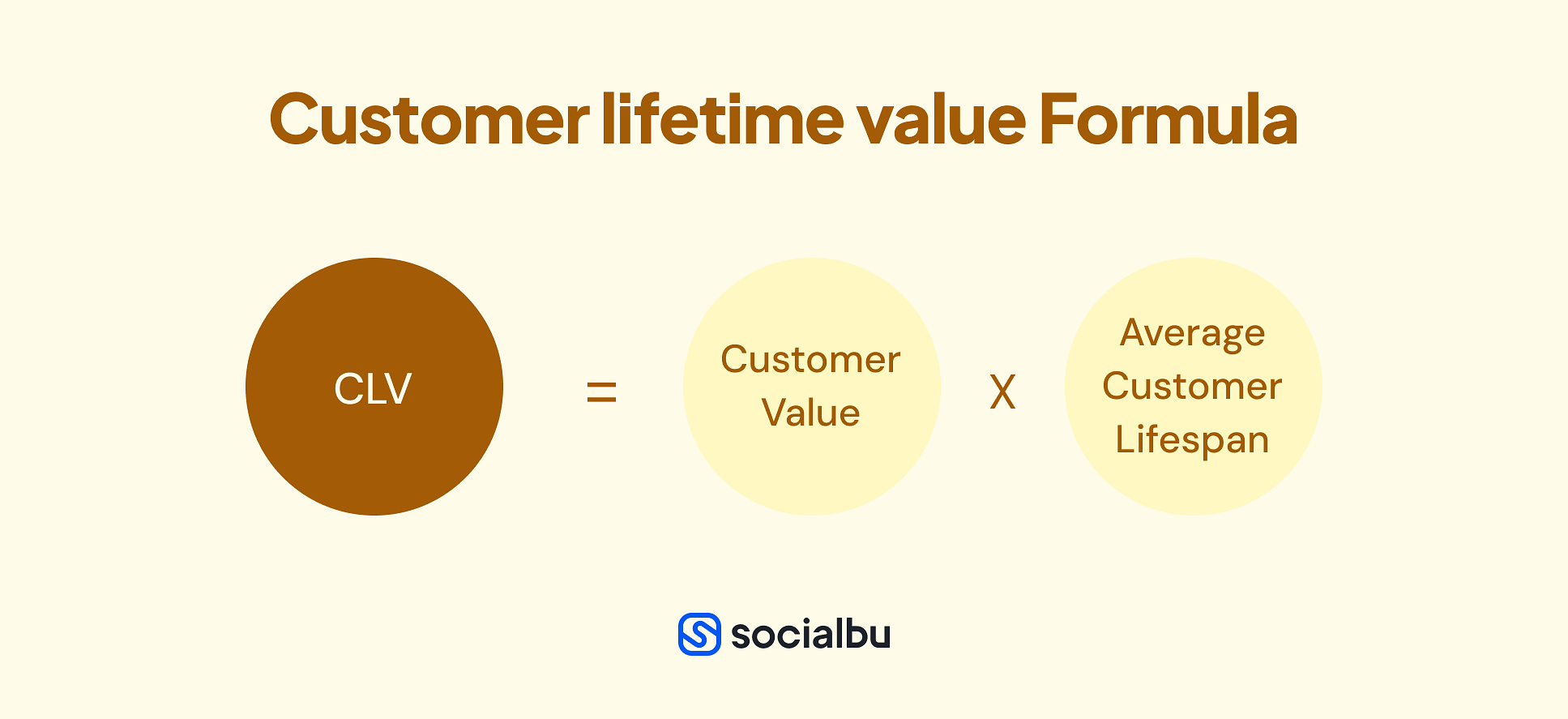 Customer Lifetime Value (CLV)