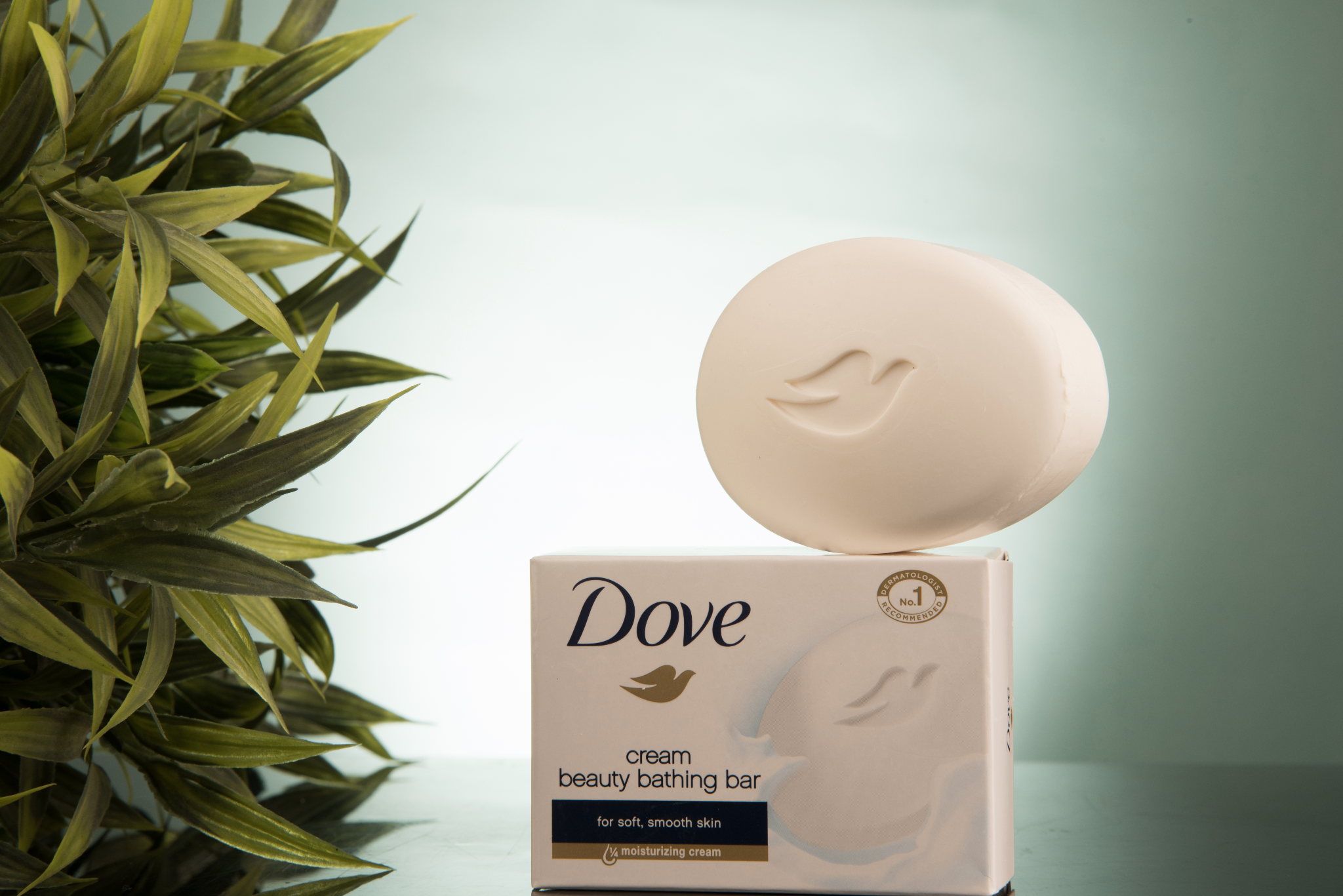 Dove Successful Advertising Campaigns