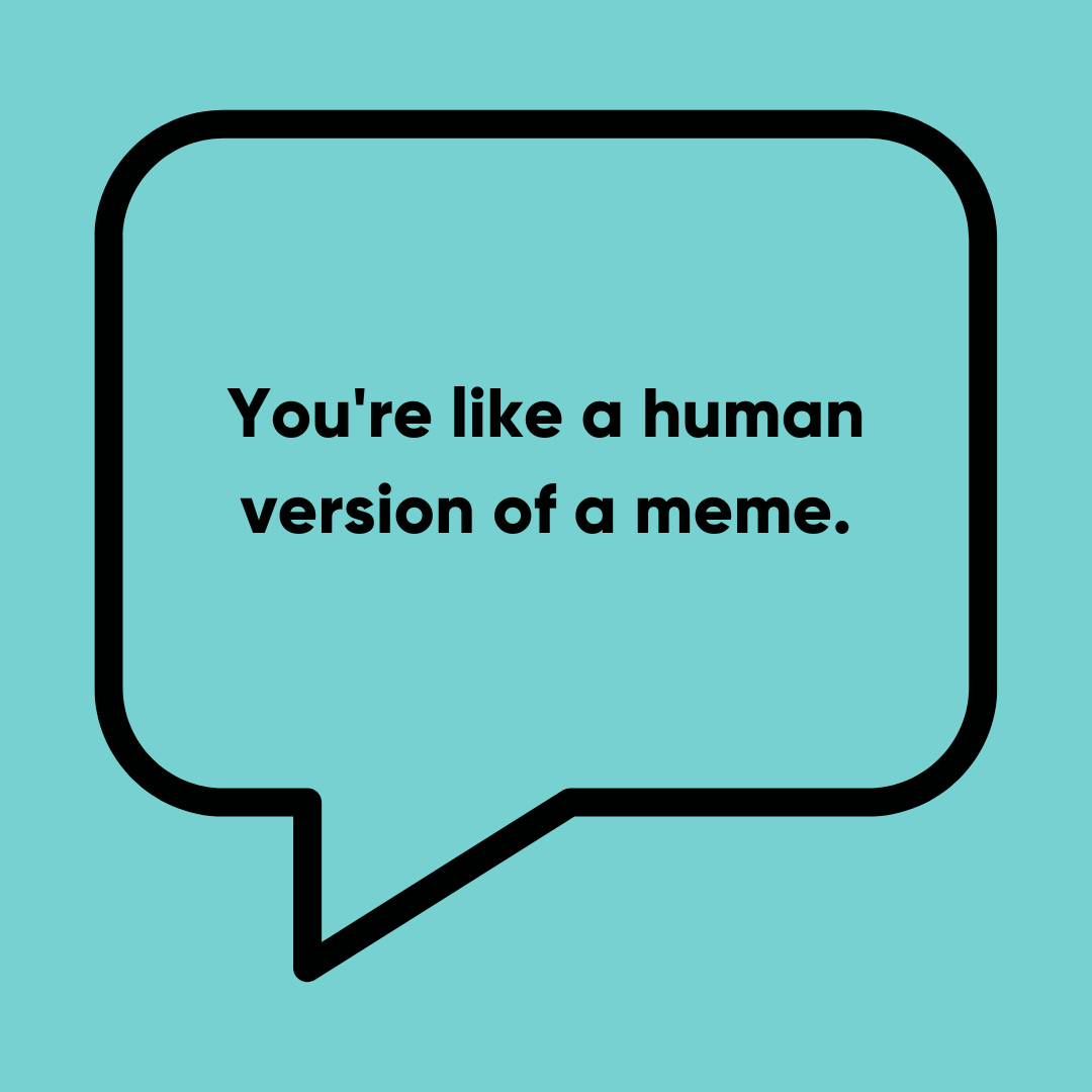 You're like a human version of a meme