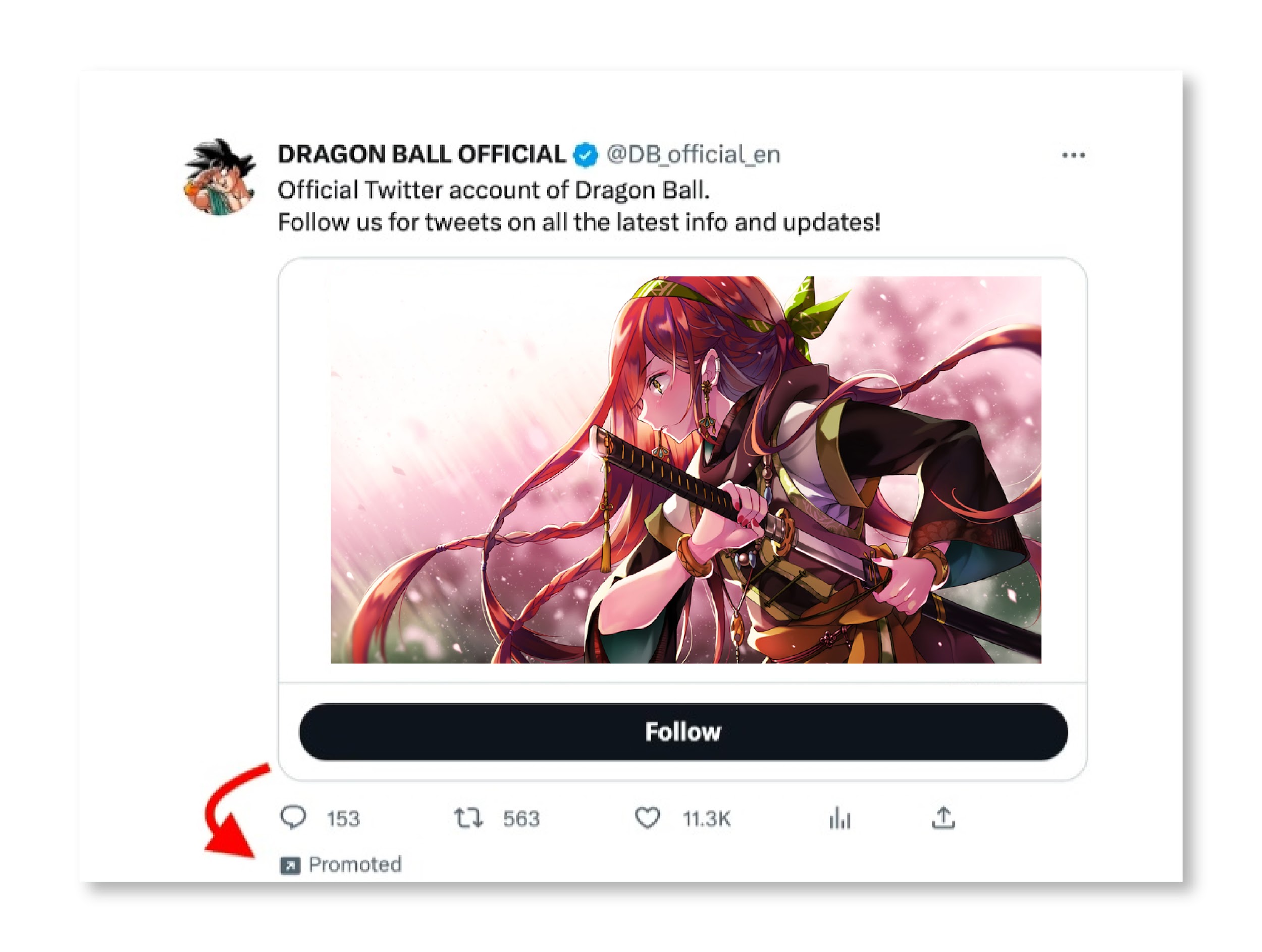 promoted Twitter Ad