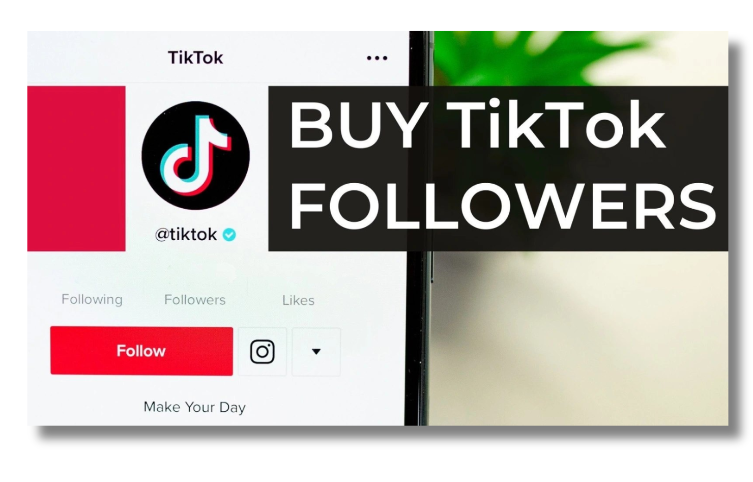 Fan-buying TikTok account