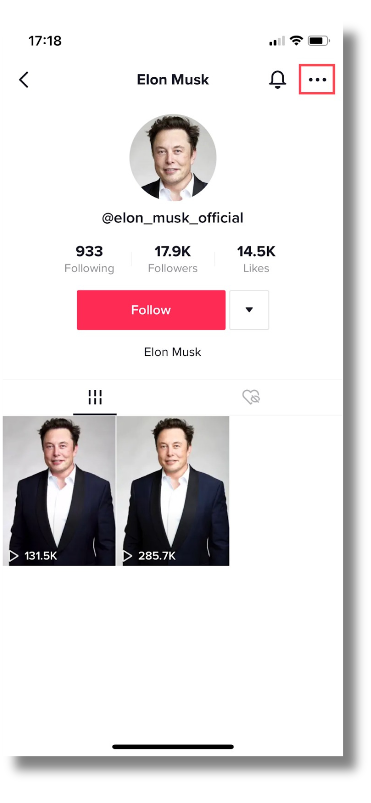 Elon Musk's TikTok fake account