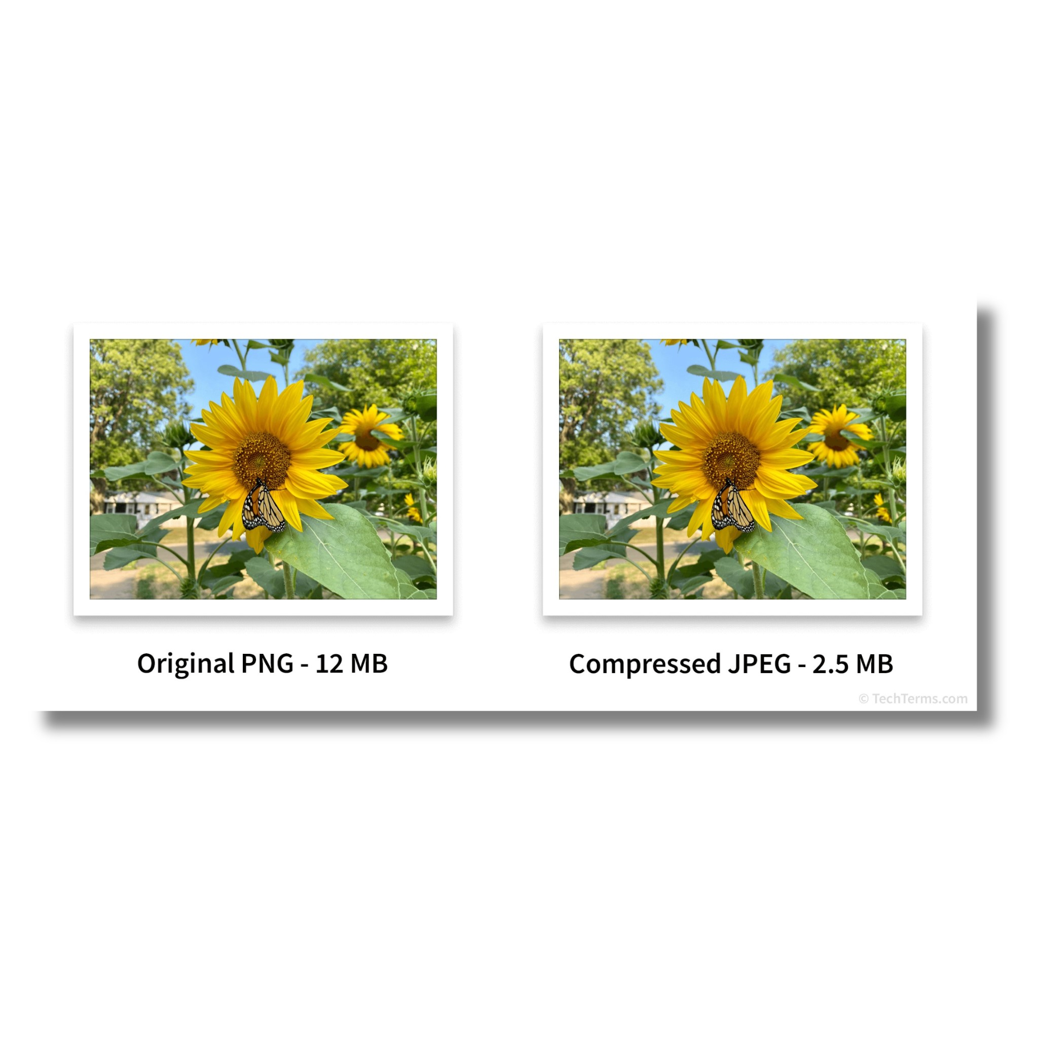 Image compression 