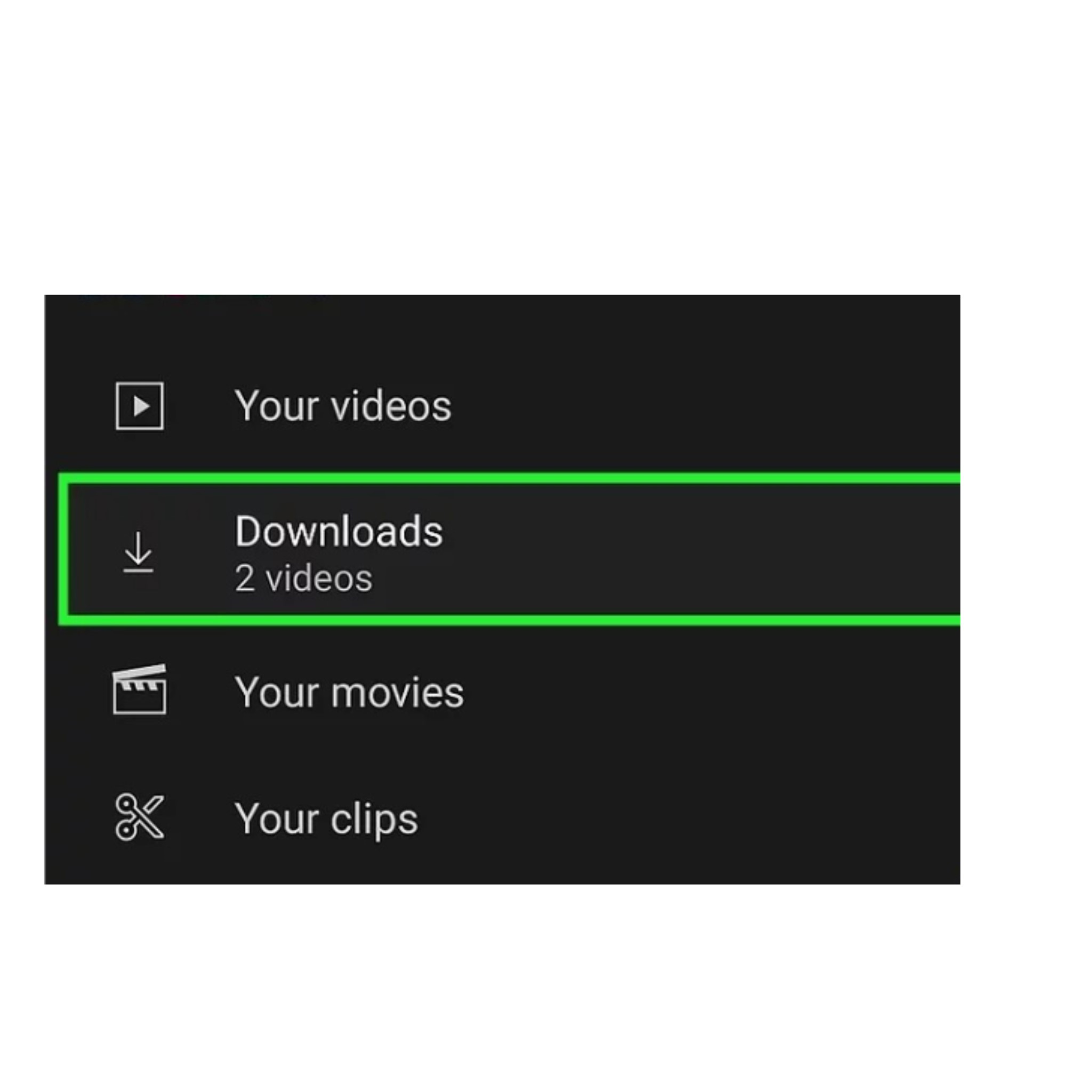 Locate the "Downloads" section