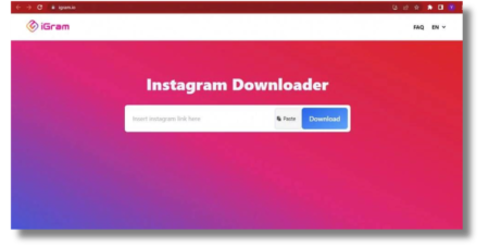 Instagram Reels downloader