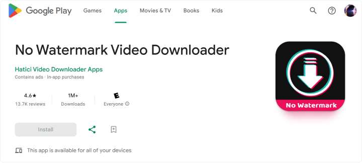 No Watermark TikTok Downloader 