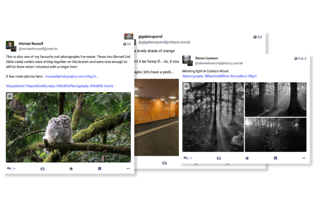 schedule image, video, album posts to mastodon