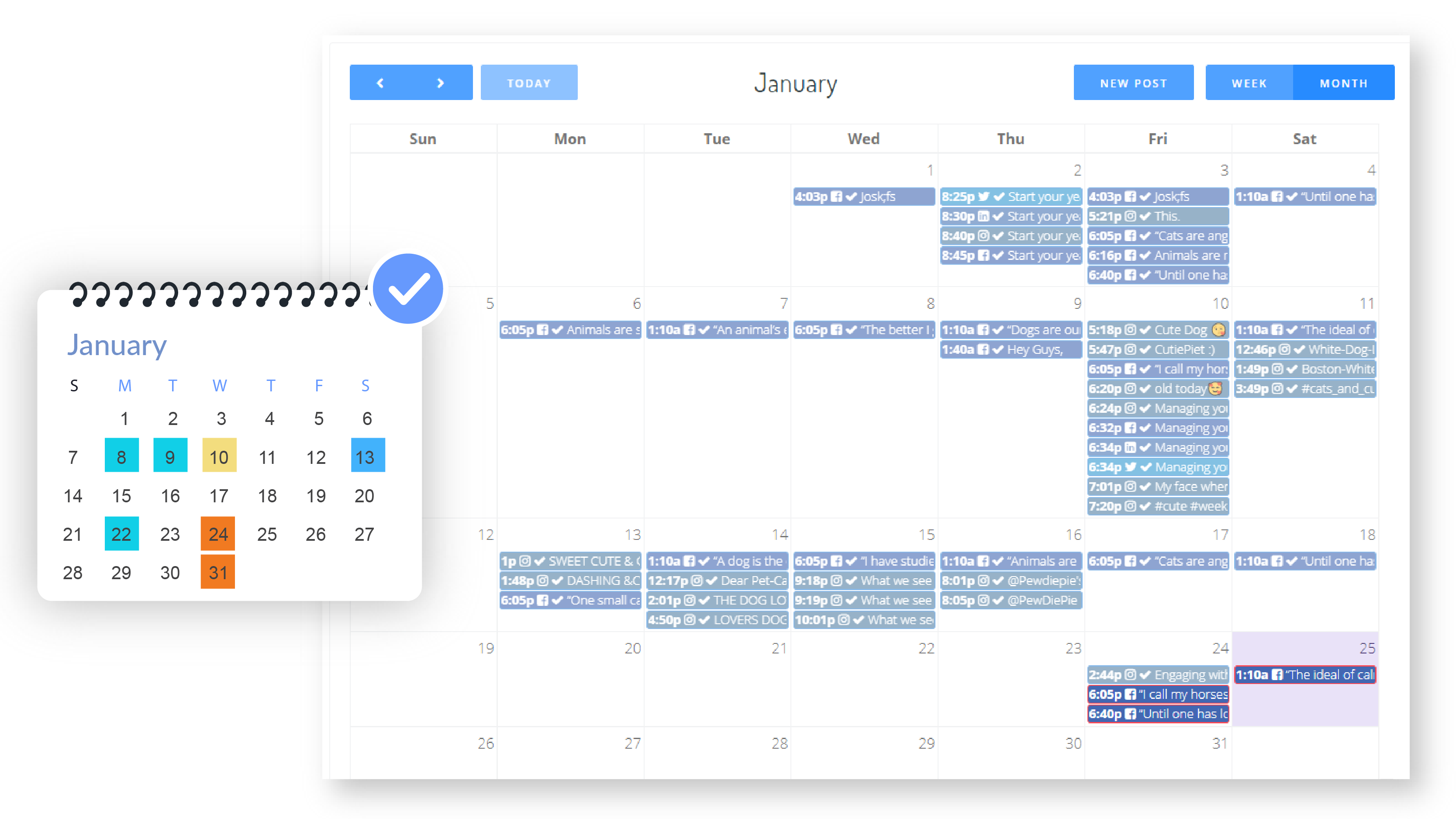 social media planning calendar for tiktok
