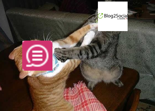 Blog2Social vs. BuzzBundle