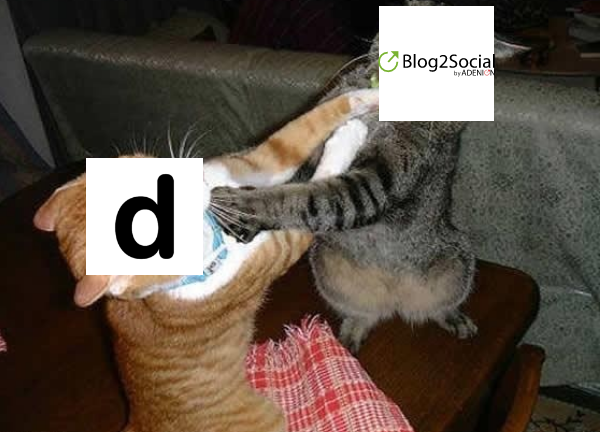 Blog2Social vs. Dlvr.it