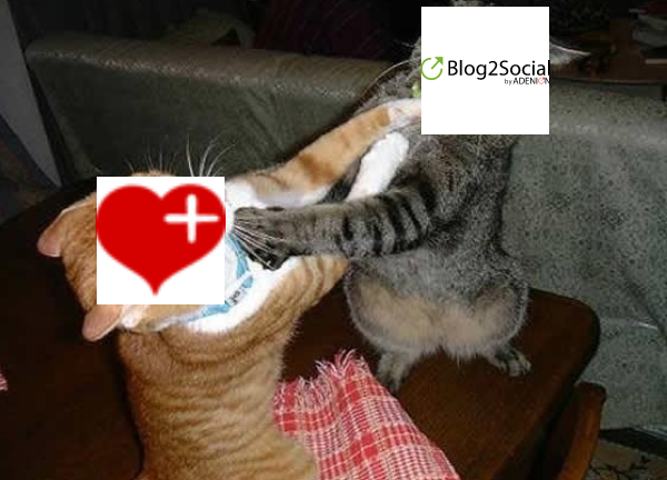 Blog2Social vs. Friends+Me