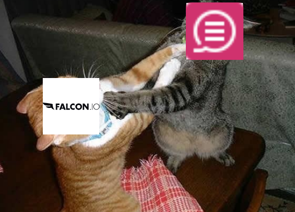 BuzzBundle vs. Falcon.io