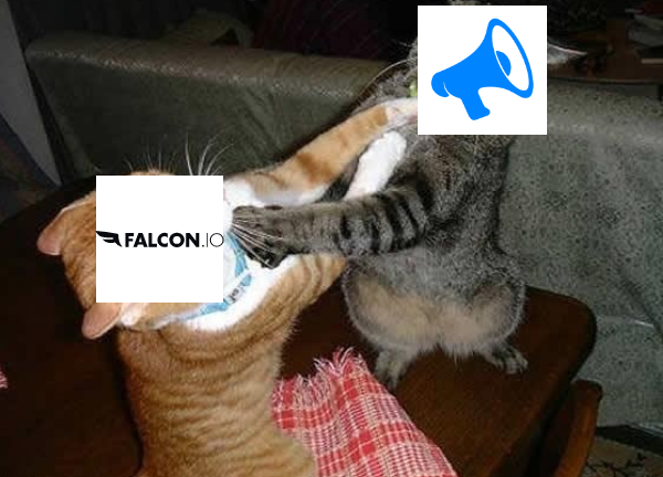 Everypost vs. Falcon.io