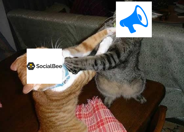 Everypost vs. SocialBee