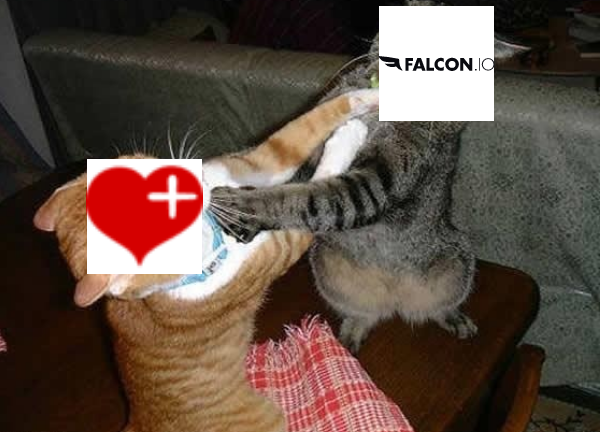 Falcon.io vs. Friends+Me