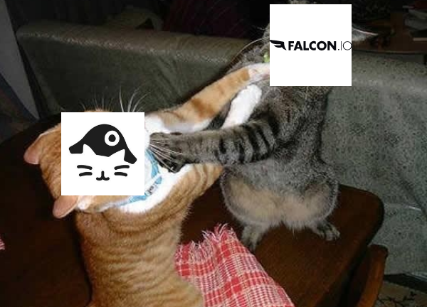 Falcon.io vs. NapoleonCat