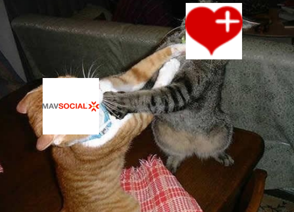 Friends+Me vs. MavSocial