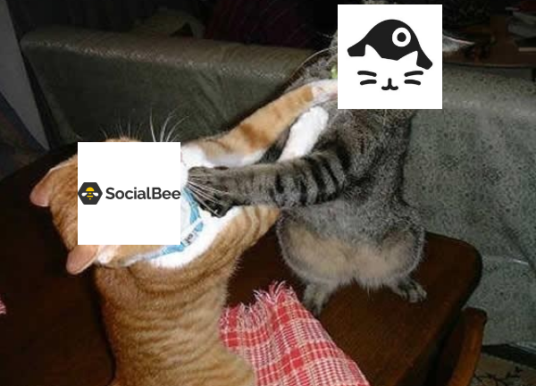 NapoleonCat vs. SocialBee
