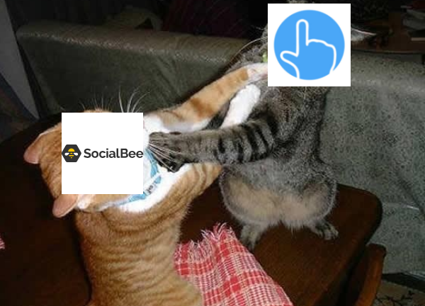 OneUp vs. SocialBee