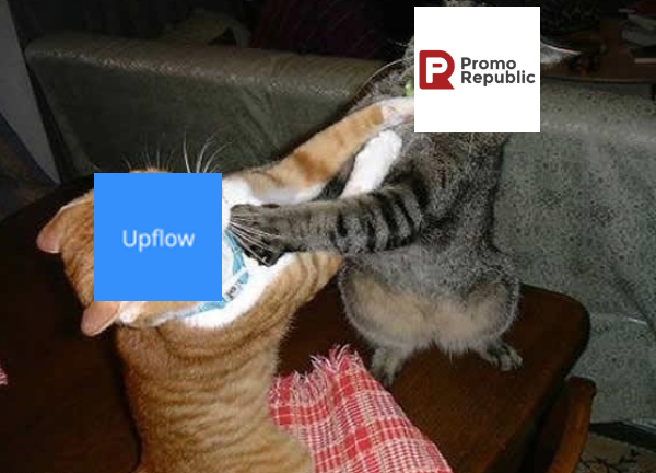 PromoRepublic vs. Upflow