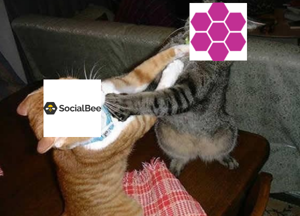 RiteForge vs. SocialBee