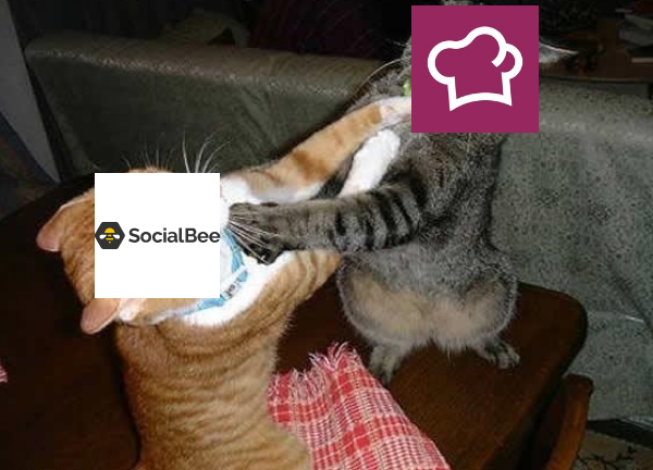 Social Bakers vs. SocialBee