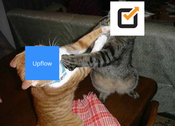 Social Champ vs. Upflow