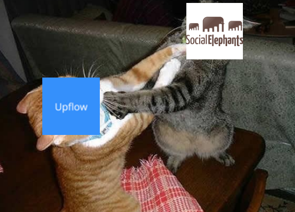 Social Elephants vs. Upflow