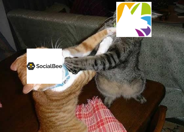 Social Unicorn vs. SocialBee